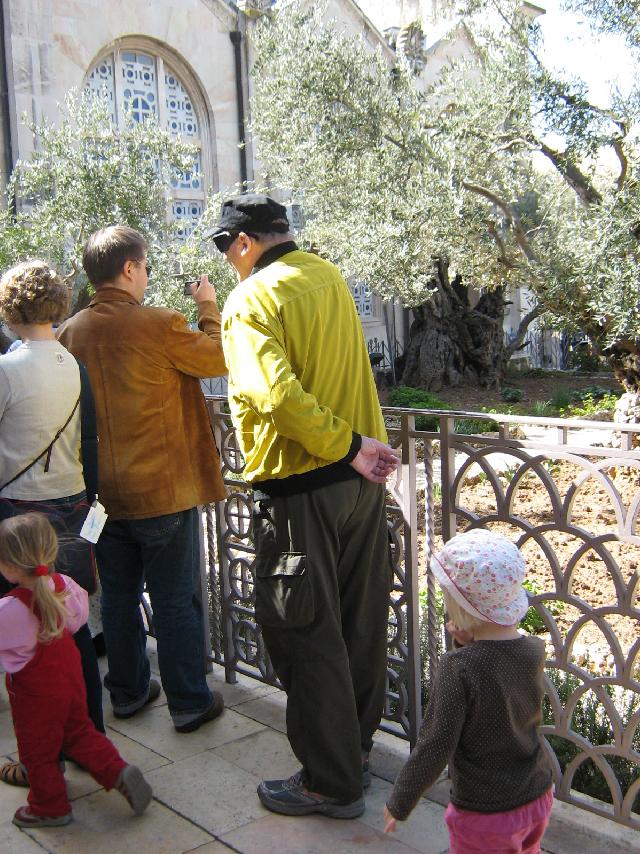 Getsemanen puutarhassa